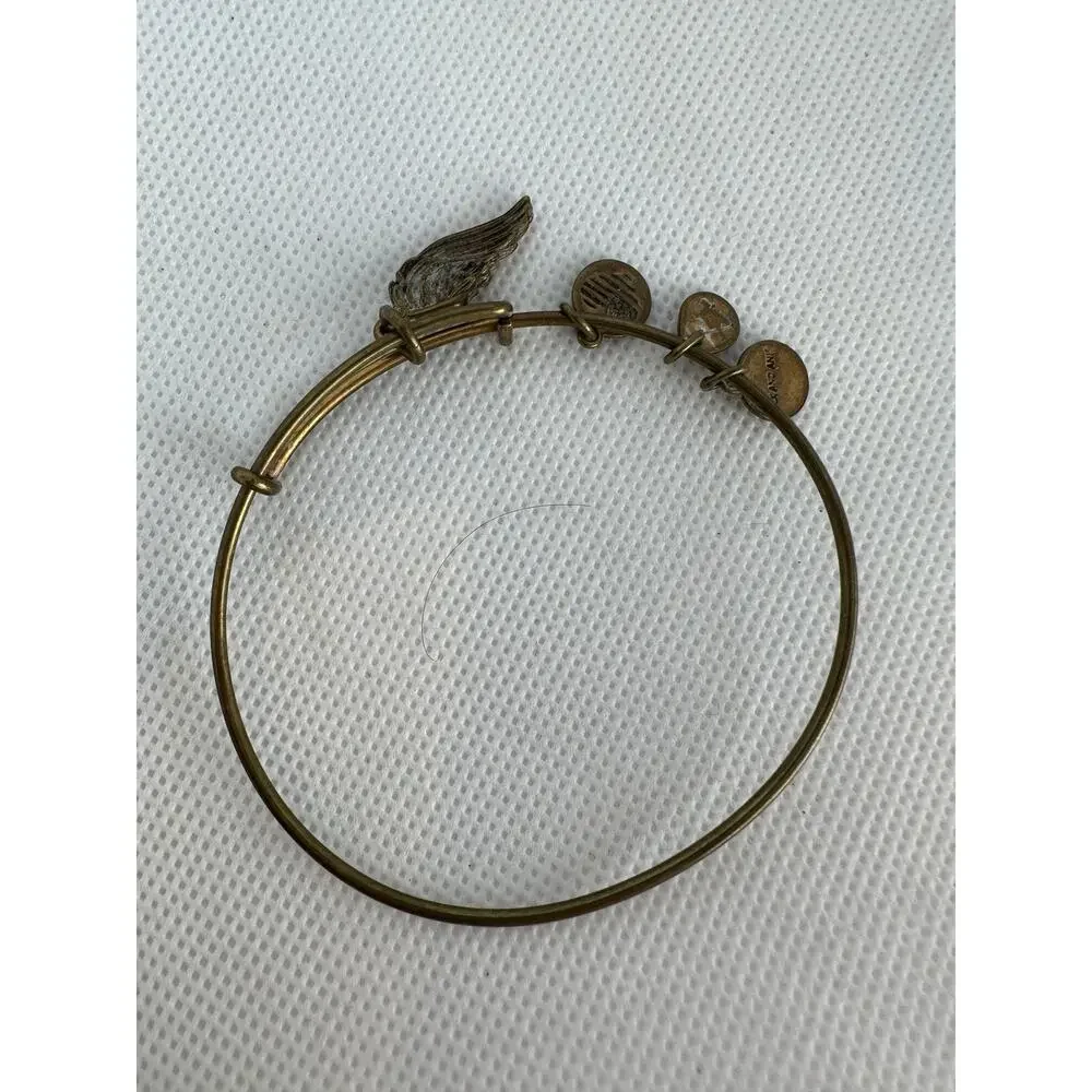 Alex and Ani great preowned